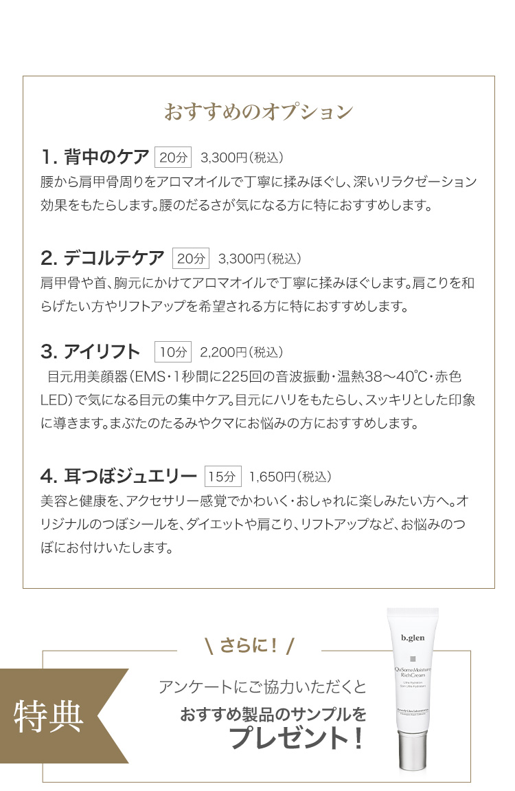 おすすめオプション